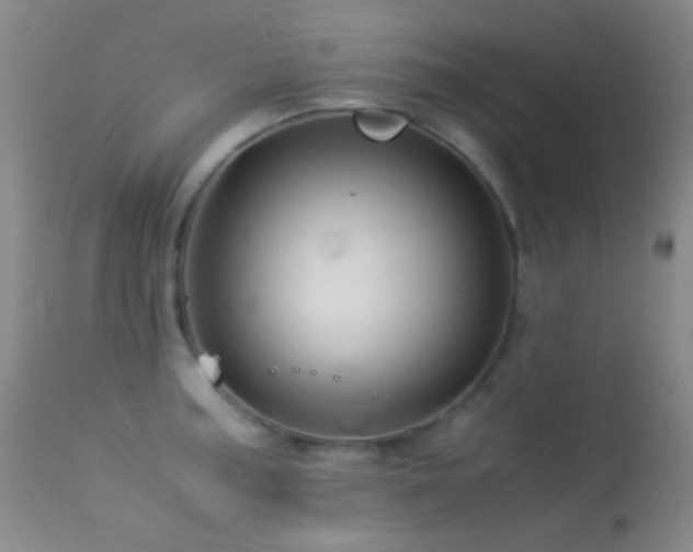 X0000113331187200909141419