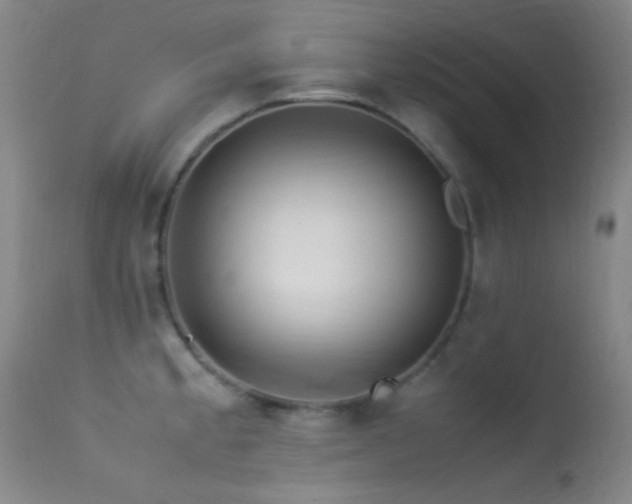 X0000113331189200909141419
