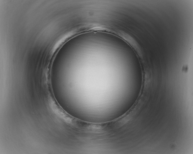 X0000113331190200909141419