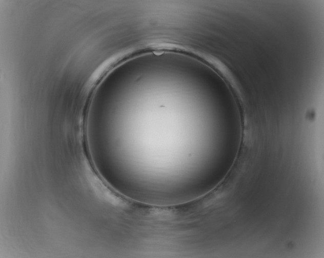 X0000113331191200909141419