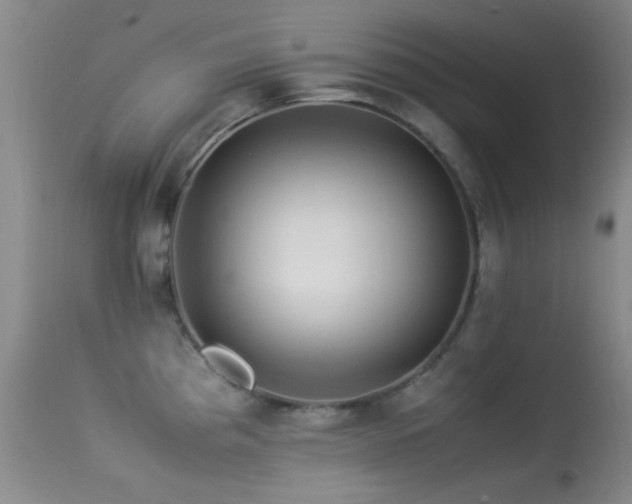 X0000113331193200909141419