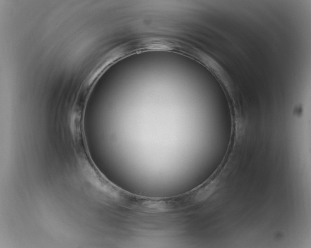 X0000113331194200909141419