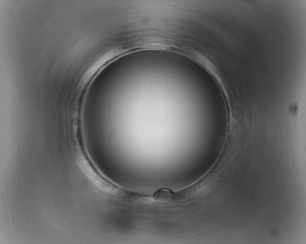 X0000113331195200909141419