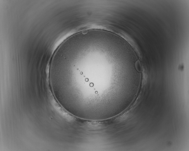 X0000113331198200909141419