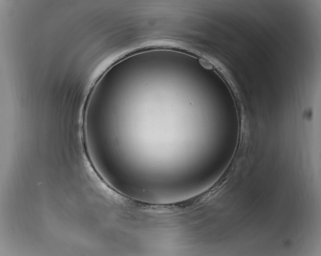 X0000113331199200909141419