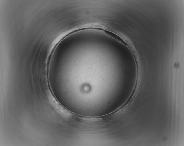 X0000113331200200909141419