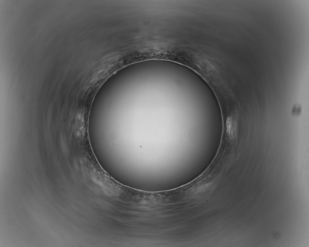 X0000113331203200909141418