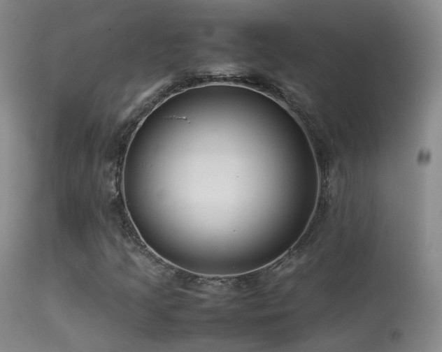 X0000113331205200909141418