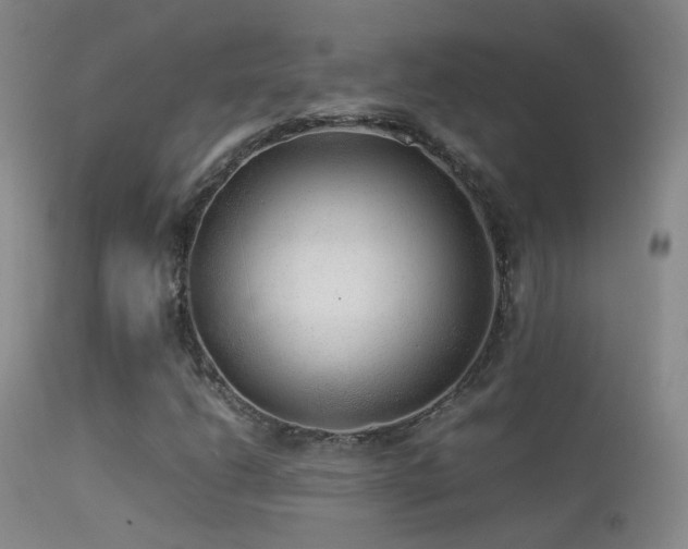 X0000113331206200909141418