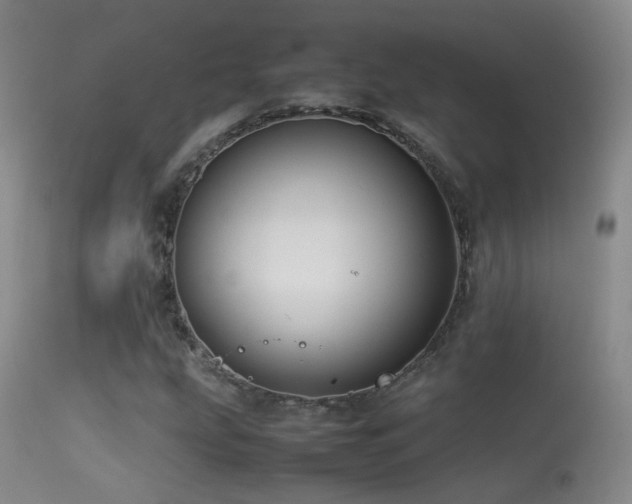 X0000113331207200909141418