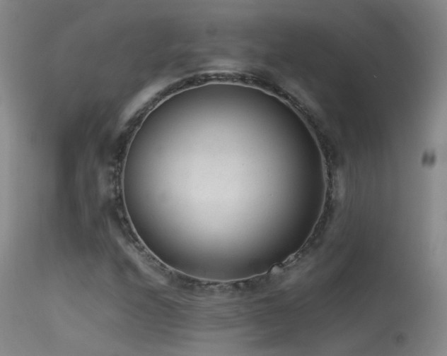 X0000113331208200909141418