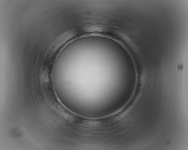 X0000113331209200909141419