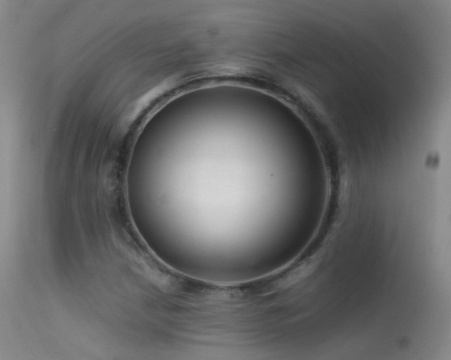 X0000113331210200909141419