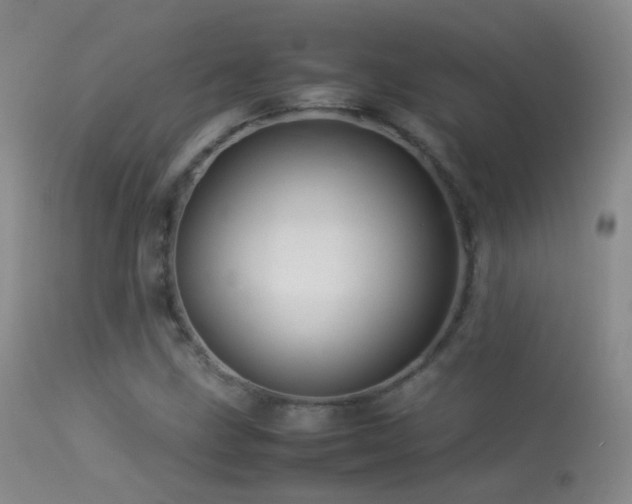 X0000113331211200909141419