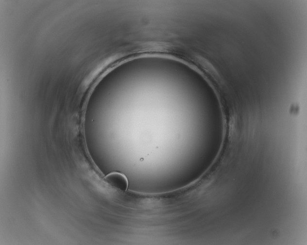 X0000113331212200909141419