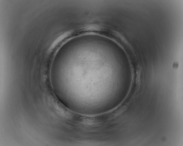 X0000113331213200909141419