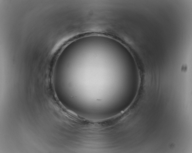 X0000113331214200909141419