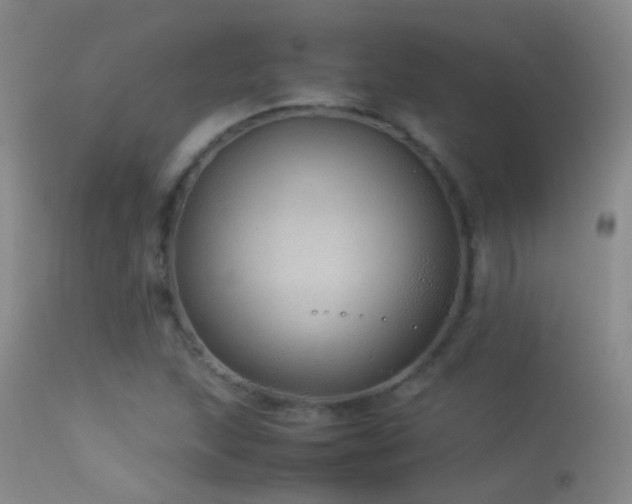X0000113331215200909141419