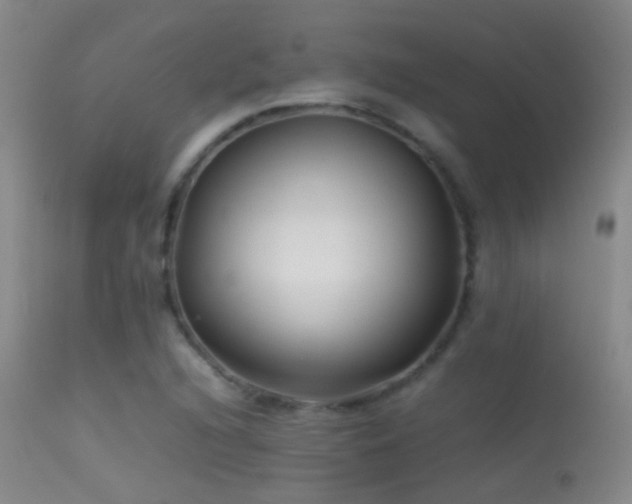 X0000113331216200909141419