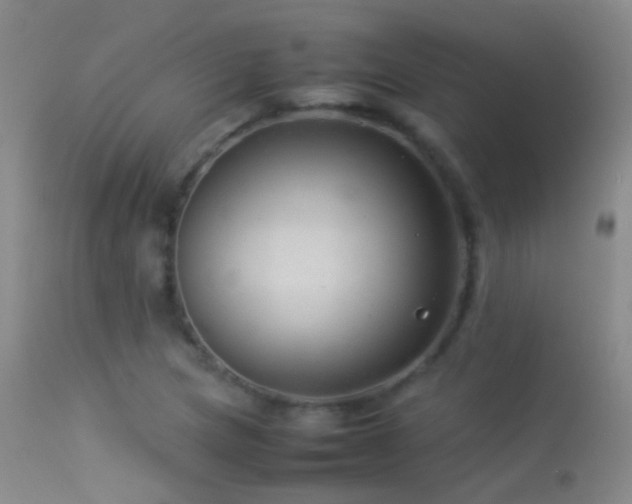 X0000113331217200909141419