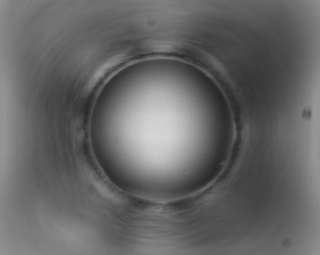 X0000113331218200909141419