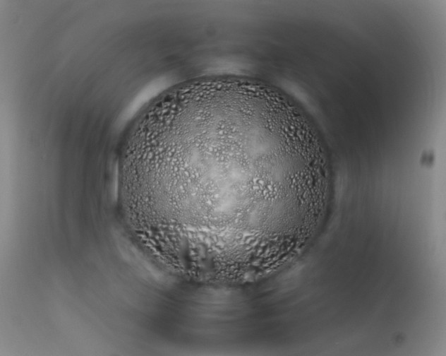 X0000113331219200909141419