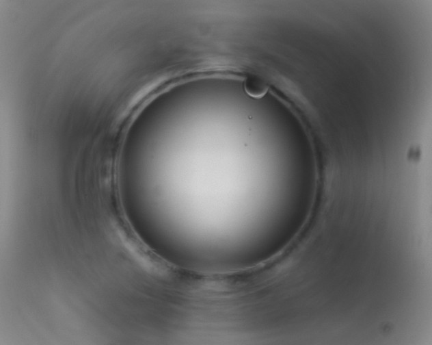 X0000113331220200909141419