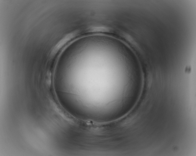 X0000113331221200909141419