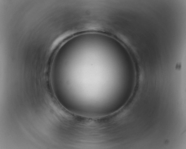 X0000113331222200909141419