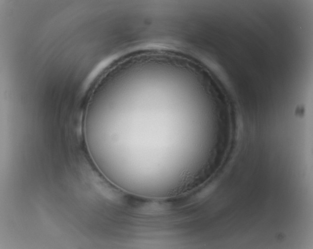 X0000113331224200909141419