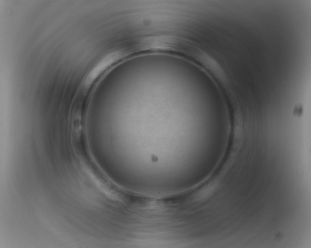 X0000113331226200909141419