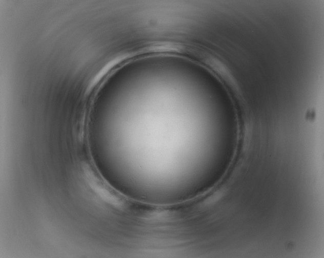 X0000113331228200909141419