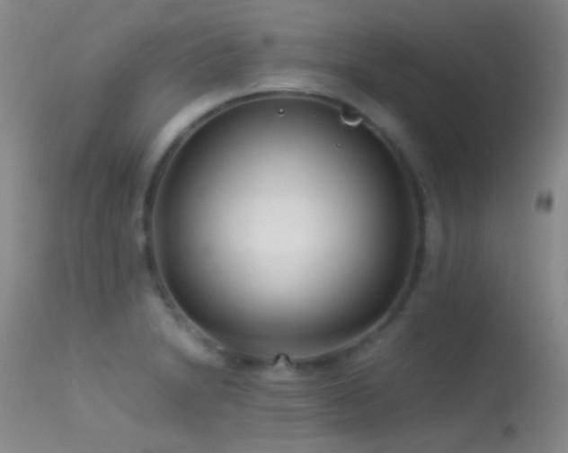 X0000113331230200909141419