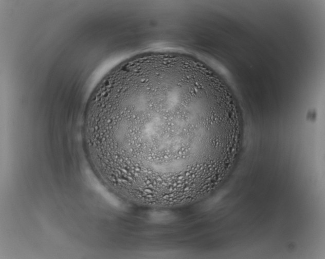 X0000113331231200909141419