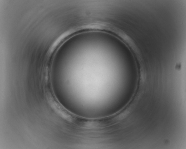 X0000113331232200909141419