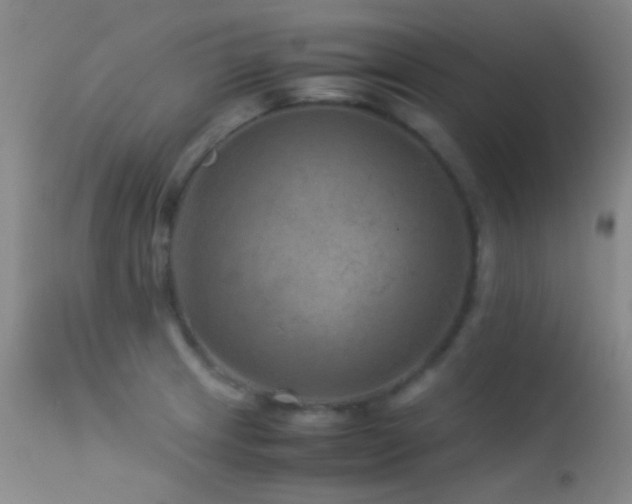 X0000113331233200909141419