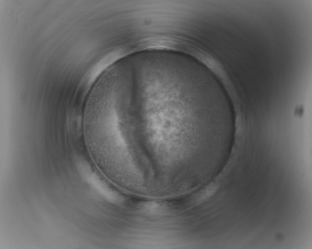 X0000113331234200909141419