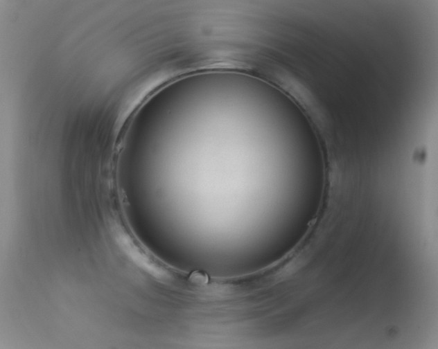 X0000113331236200909141419
