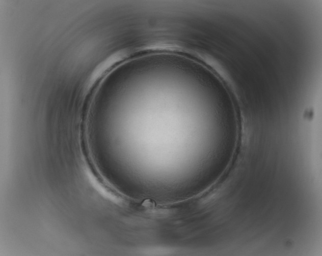 X0000113331237200909141419