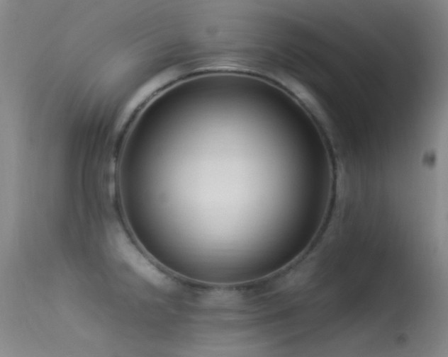 X0000113331238200909141419