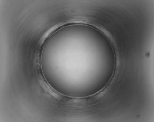 X0000113331240200909141419