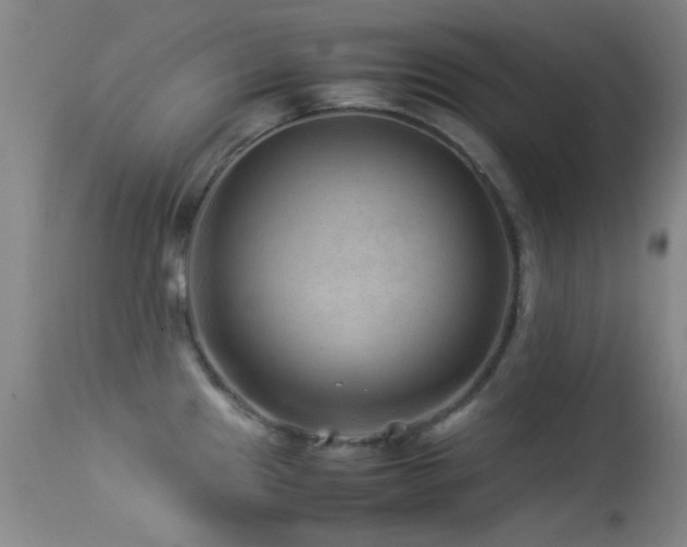 X0000113331241200909141419