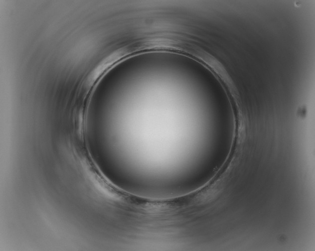 X0000113331242200909141419