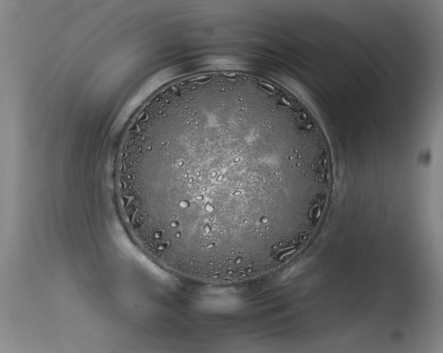 X0000113331243200909141419