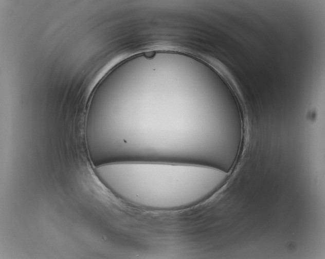 X0000113331244200909141419