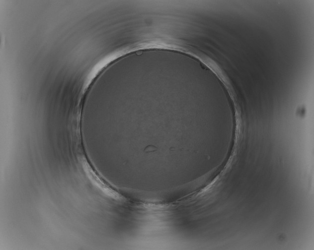 X0000113331246200909141419