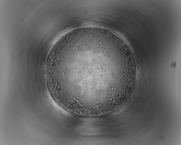 X0000113331247200909141419
