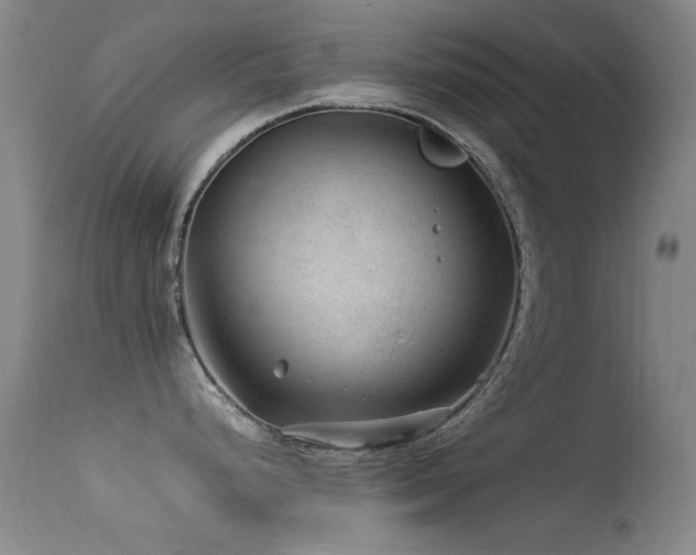 X0000113331248200909141419