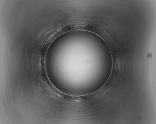 X0000113331250200909141418