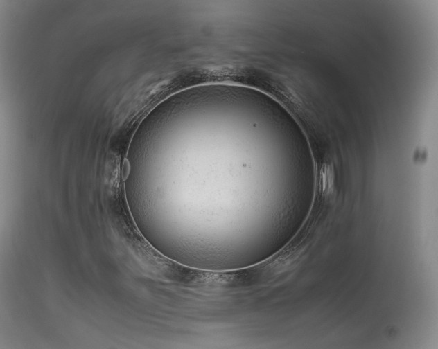 X0000113331251200909141418